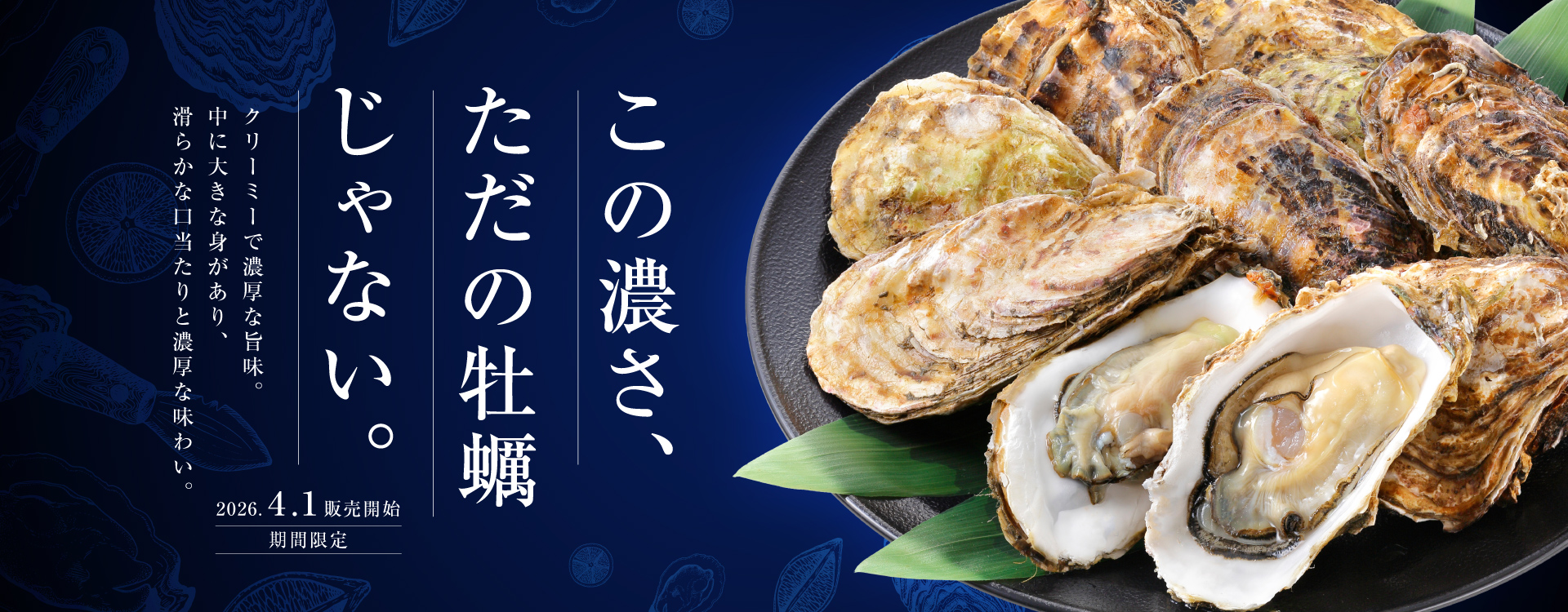 この濃さ、ただの牡蠣じゃない