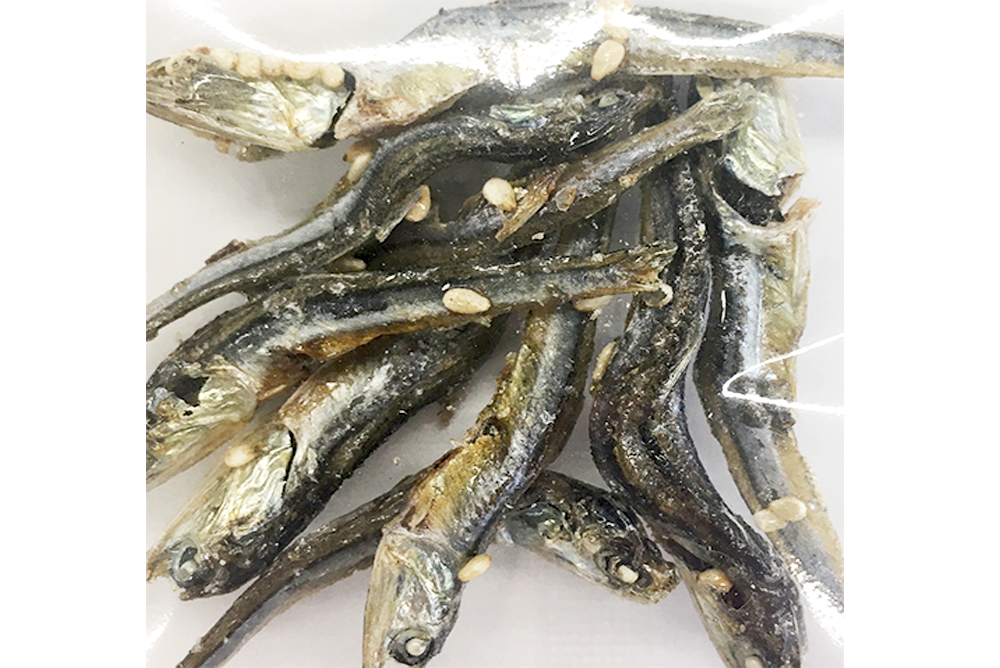 山陰のおみやげ本舗 なかうら 味付いりこ 鳥取県産